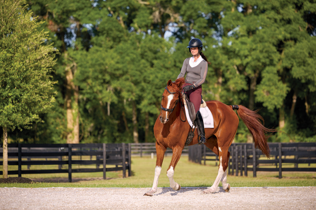 Garmin Blaze Equine Wellness System — Horse Health Sensor (010-02922-00)