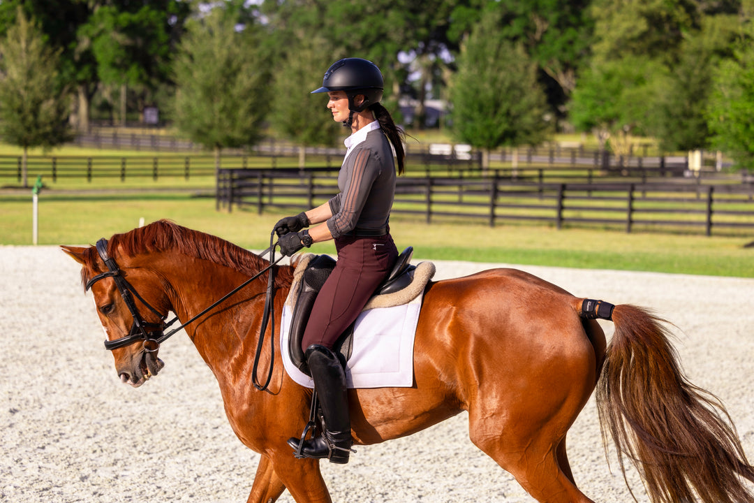 Garmin Blaze Equine Wellness System — Horse Health Sensor (010-02922-00)