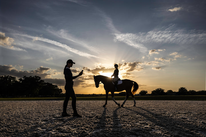 Garmin Blaze Equine Wellness System — Horse Health Sensor (010-02922-00)