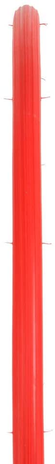 Vittoria  Home Trainer Fold Tire