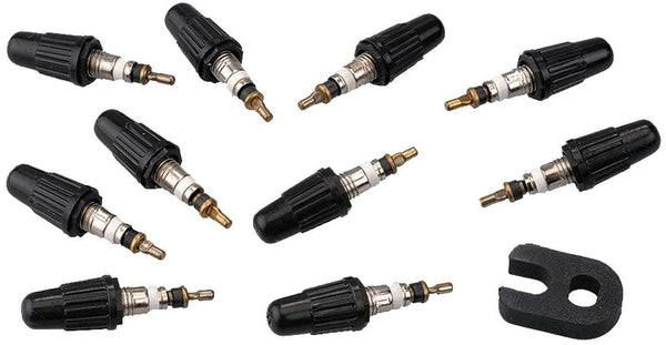 Vittoria Presta Valve Cores (10-Pack), Silver