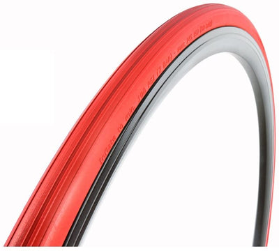 Vittoria  Home Trainer Fold Tire